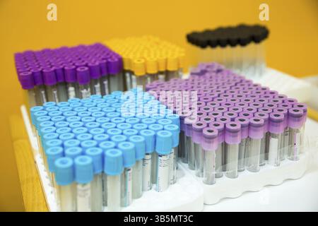 Svuotare le provette mediche per esami del sangue. Rack con provette per test e apparecchiature tecniche in laboratorio chimico. Provette preparate per la macchina per centrifuga in Hemat Foto Stock