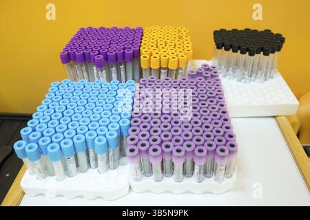 Svuotare le provette mediche per esami del sangue. Rack con provette per test e apparecchiature tecniche in laboratorio chimico. Provette preparate per la macchina per centrifuga in Hemat Foto Stock