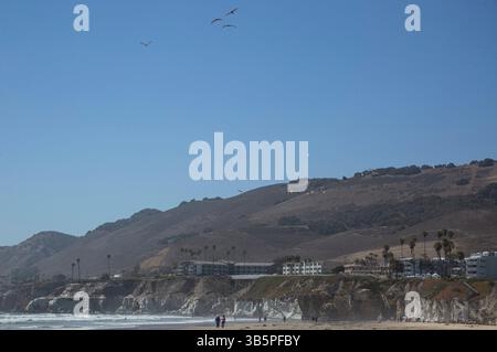 15 luglio 2022, Pismo Beach, California, Stati Uniti: 15 luglio, 2022. i pellicani Brown girano sull'estremità nord di Pismo Beach, California, mentre i turisti volano aquiloni e camminano sulla spiaggia. (Immagine di credito: © Ralph Lauer/ZUMA Press Wire) Foto Stock