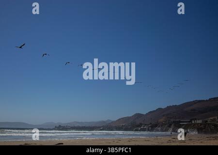 15 luglio 2022, Pismo Beach, California, Stati Uniti: 15 luglio, 2022. una vaiola scaglionata di Brown Pelicans vola sopra Pismo Beach, California. (Immagine di credito: © Ralph Lauer/ZUMA Press Wire) Foto Stock