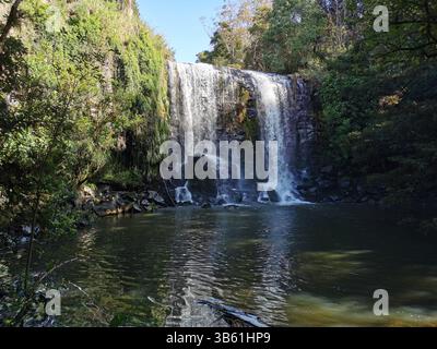 Wairere Waterfall a Kerikeri, Bay of Islands, nuova Zelanda Foto Stock