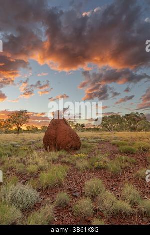 Tramonto su un tumulo rosso di termiti nel Parco Nazionale di Karijini, Australia Occidentale Foto Stock