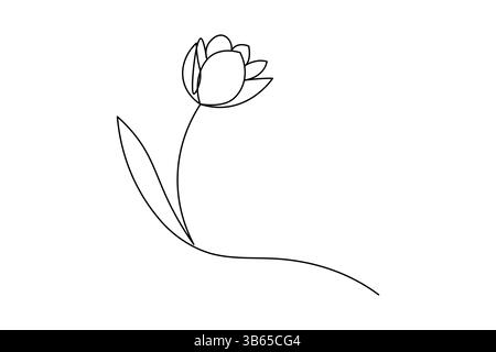 Disegno a una linea continuo con fiore di tulipani e stile minimalista isolano l'icona vettoriale del contorno Illustrazione Vettoriale