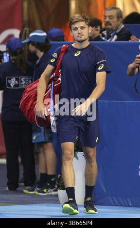 Sofia, Bulgaria - 12 Febbraio 2017: David Goffin dal Belgio (nella foto) prima di giocare contro Grigor Dimitrov dalla Bulgaria durante il match finale Foto Stock