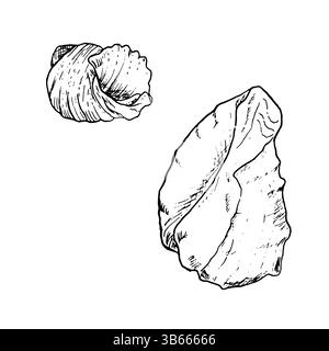 Guscio oceanico, disegnato in inchiostro bianco e nero. Illustrazione marina vettoriale. Set di conchiglie a spirale dal mondo sottomarino dell'oceano è isolato su Illustrazione Vettoriale
