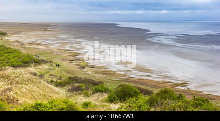 Panorama dell'area naturale di Oerd e del mare di wadden ad Ameland, Paesi Bassi Foto Stock
