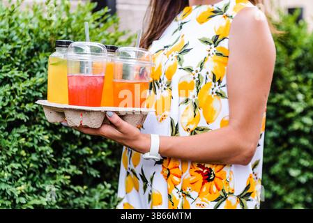 Succhi di frutta di verdure spremuti a freddo per una dieta disintossicante. Dieta pulendo il corpo dalle tossine con succhi di frutta e verdura biologici crudi preparati con Foto Stock