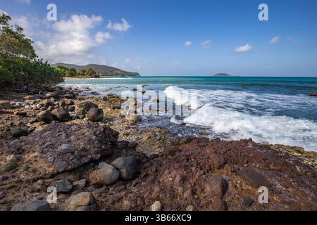 Un paesaggio da sogno direttamente sul mare turchese. Spiagge di sabbia appartate nei Caraibi. Pointe Allègre su Guadalupa, Antille francesi Foto Stock