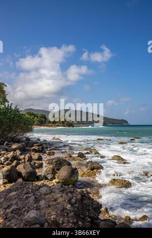 Un paesaggio da sogno direttamente sul mare turchese. Spiagge di sabbia appartate nei Caraibi. Pointe Allègre su Guadalupa, Antille francesi Foto Stock