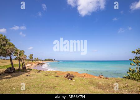 Un paesaggio da sogno direttamente sul mare turchese. Spiagge di sabbia appartate nei Caraibi. Pointe Allègre su Guadalupa, Antille francesi Foto Stock