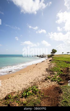 Un paesaggio da sogno direttamente sul mare turchese. Spiagge di sabbia appartate nei Caraibi. Pointe Allègre su Guadalupa, Antille francesi Foto Stock