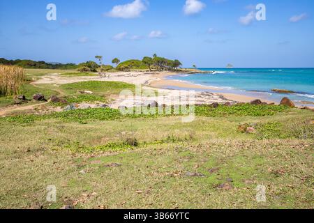 Un paesaggio da sogno direttamente sul mare turchese. Spiagge di sabbia appartate nei Caraibi. Pointe Allègre su Guadalupa, Antille francesi Foto Stock