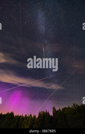 Bellissimo cielo notturno pieno di stelle e di Persidi volanti e aerei di fronte all'incredibile aurora e lungo percorso della via lattea su alte sagome di alberi Foto Stock