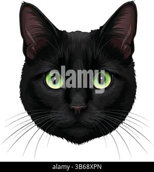 Un gatto nero con occhi verdi piercing guarda in avanti Illustrazione Vettoriale