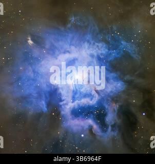 NGC 7023, l'Iris Nebula. Foto Stock