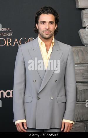 27 luglio 2022, Los Angeles, CA, USA: Fabien Frankel partecipa alla prima mondiale della serie drammatica originale HBO ''House of the Dragon'' all'Academy Museum of Motion Pictures il 27 luglio 2022 a Los Angeles, California. (Immagine di credito: © imageSPACE tramite ZUMA Press Wire) Foto Stock