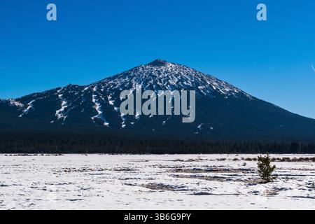 Vista di South Sister in una giornata innevata lungo la Cascade Lakes Scenic Byway vicino a Bend, Oregon, Stati Uniti. Foto Stock