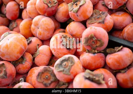 Una vista di diversi frutti fuyu di cachi in mostra in un mercato agricolo locale. Foto Stock