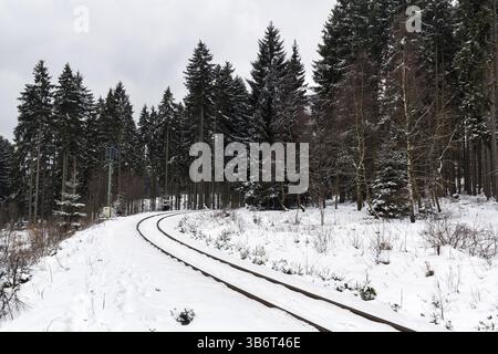 Ferrovia a scartamento ridotto di Harz, Brockenbahn, binario vuoto, binario ferroviario nel paesaggio innevato, foresta di abeti rossi, clima invernale spaventoso, immagine simbolica, Drei An Foto Stock