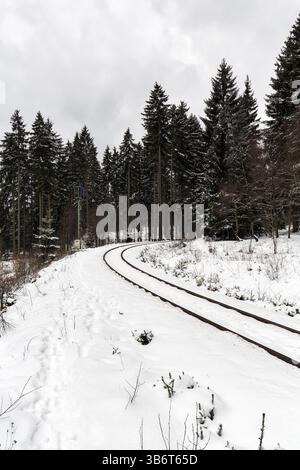 Ferrovia a scartamento ridotto di Harz, Brockenbahn, binario vuoto, binario ferroviario nel paesaggio innevato, foresta di abeti rossi, clima invernale spaventoso, immagine simbolica, Drei An Foto Stock