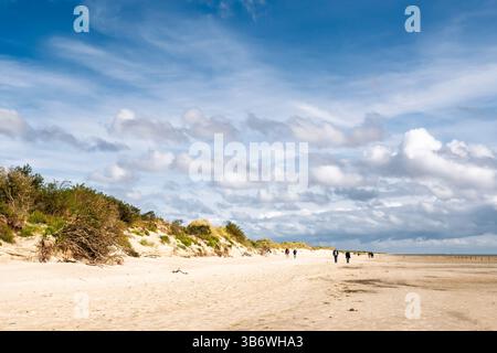 Escursionisti che camminano sulla spiaggia sabbiosa lungo le dune di Osterhook, Langeoog, Frisia orientale, bassa Sassonia, Germania, paesaggio costiero nel Wadden Sea National Foto Stock