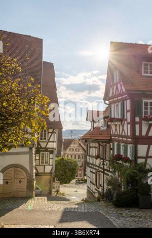 Giornata di sole a Herrenberg, Baden-Württemberg, caratterizzata da stradine acciottolate fiancheggiate da tradizionali case in legno adornate di fiori. A s Foto Stock