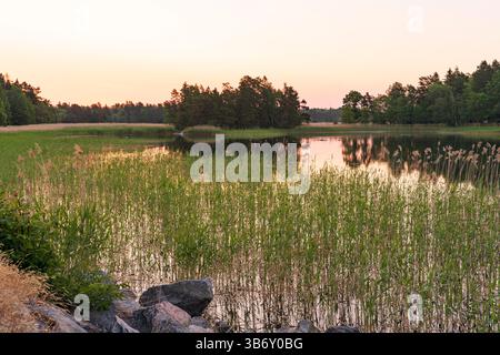 I colori del mattino presto sono in riva al mare. Colori romantici. Foto Stock