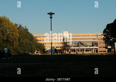 moderni edifici residenziali e istituzionali sotto il cielo azzurro con alberi e ombre alla luce del sole primaverile. Foto di alta qualità Foto Stock