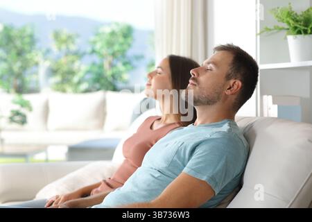 Profilo di una coppia che si rilassa seduto su un divano di una casa di lusso Foto Stock