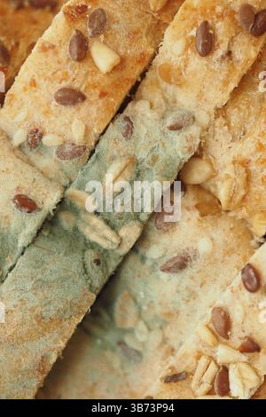 Bastoncini di pane ammuffiti con vari semi e noci visualizzati da vicino Foto Stock