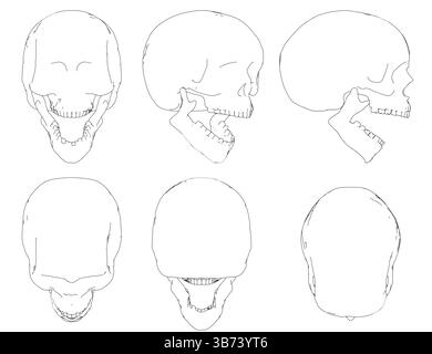L'immagine è una serie di sei disegni di un cranio, ciascuno leggermente diverso dall'altro. I disegni sono tutti in bianco e nero, e tutti hanno Illustrazione Vettoriale