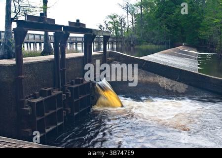 L'acqua che scorre dalla diga e dalla sponda del lago Waccamaw. Foto Stock