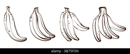 Set vettore frutta banana con elementi contorno ed schizzo Illustrazione Vettoriale