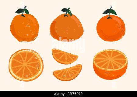 Set di arance dipinte con pennello grunge con agrumi interi, metà arancio e fette tagliate. Set di mandarini dipinti con gesso e pennello grungy. Illustrazione Vettoriale