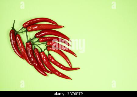 Assortimento di peperoni caldi in vista dall'alto. Foto Stock