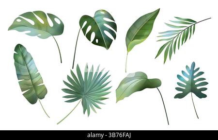 Foglia tropica. Pianta di fiori d'acquerello, palma verde di banana e monstera nella giungla o vegetazione floreale estiva. Filiale delle Hawaii. foresta pluviale botanica Illustrazione Vettoriale