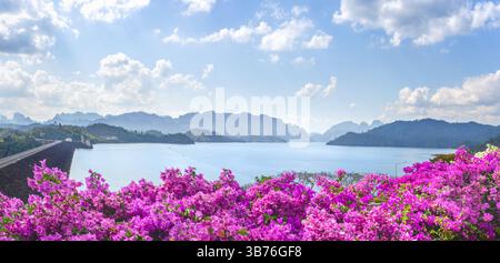 Lago Cheo LAN e diga Rachaphrapha durante il giorno, vista panoramica dal punto di osservazione. Fiori di bouganville in primo piano. Montagne, lago Foto Stock