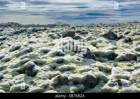 Vista del campo di lava di Eldhraun nel sud degli altopiani islandesi Foto Stock