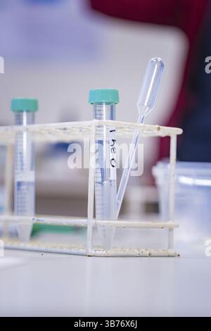 Provette per analisi in rack con pipetta in ambiente di laboratorio, Nagold Youth Research Centre, Foresta Nera settentrionale, distretto di Calw, Germania, Europa Foto Stock