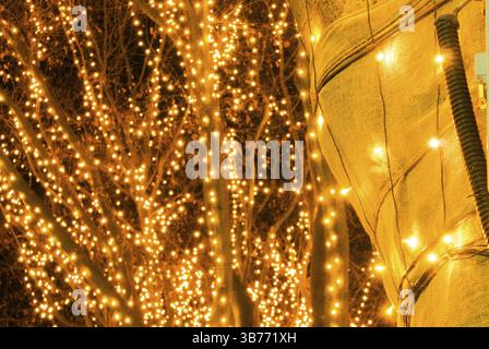 Sendai luce del pagante e la vista notturna di Jozenji Street. Luogo di tiro: Sendai, Prefettura di Miyagi Foto Stock