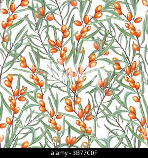 Acquerello bacche di spinone del mare nordico sfondo isolato senza cuciture. Rami intrecciati con bacche e foglie verdi ornano per l'autunno Foto Stock