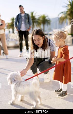 Madre e figlia giocano con un piccolo cane peloso bianco su un molo in una giornata di sole. Foto Stock