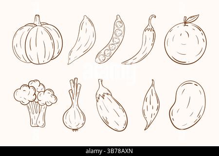 Set di icone disegna a mano le verdure per scarabocchi. Delineare la raccolta di verdure. Verdure fresche biologiche per striscioni, poster, mercato agricolo, etichette, imballaggi Illustrazione Vettoriale