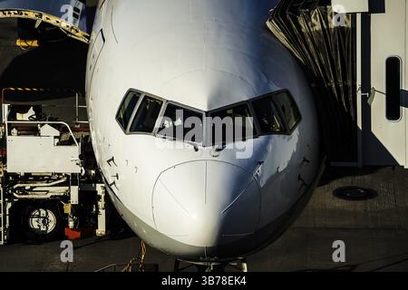Aereo dell'immagine (Aeroporto Haneda). Luogo di tiro: Area metropolitana di Tokyo Foto Stock
