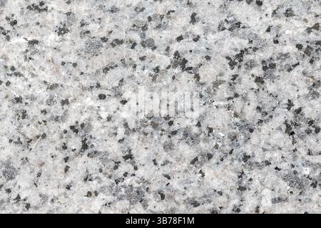 Superficie in granito naturale con varie tonalità di grigio e macchie nere in un motivo testurizzato, ideale per applicazioni di progettazione, studi geologici o ar Foto Stock