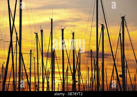 Tramonto nel porto, Marsiglia, Francia, Europa Foto Stock
