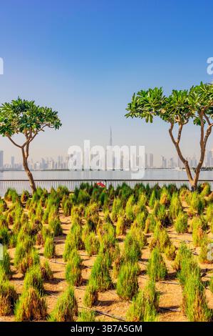 Vista dal lungomare di Dubai allo skyline con Burj Khalifa, Emirati Arabi Uniti Foto Stock