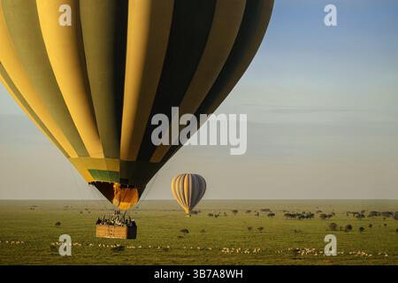 Giro in mongolfiera nel Serengeti, mongolfiera, Tanzania, Africa orientale, Africa Foto Stock
