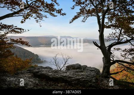 Il sole splende sull'Albtrauf e c'è nebbia nella valle, il castello di Hohenneuffen, Neuffen, il distretto di Esslingen, l'Alb svevo, Baden-Württemberg, G. Foto Stock