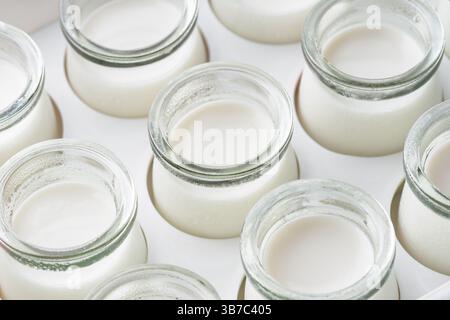 Vista ravvicinata di piccoli vasetti con yogurt fatto in casa appena preparato Foto Stock